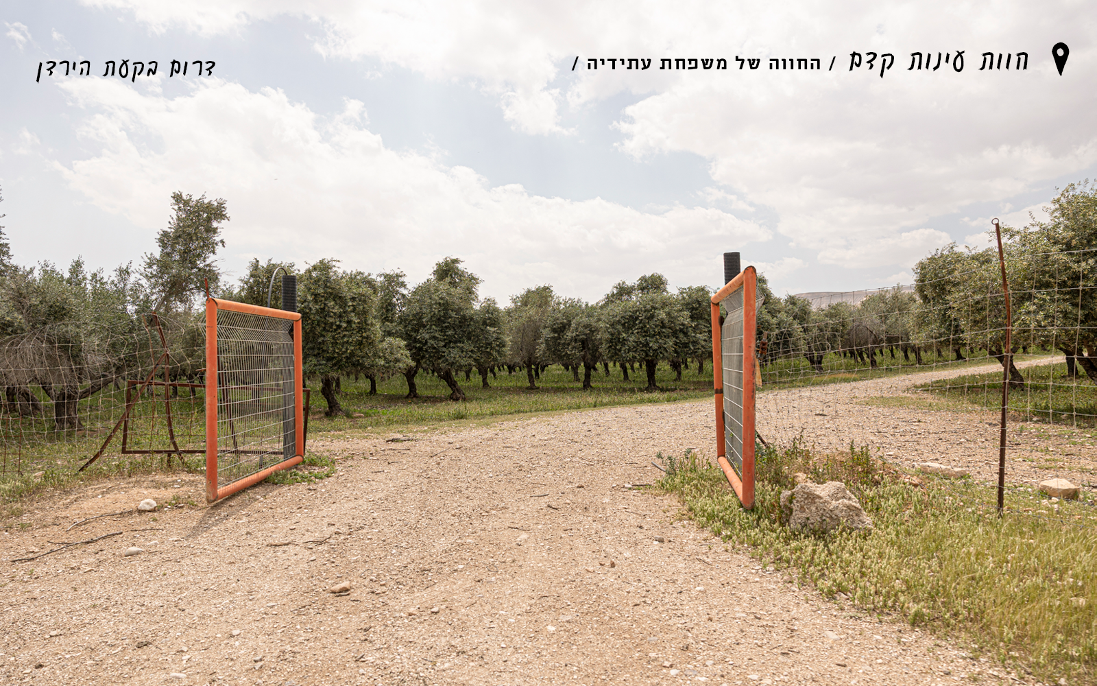 בגן העדר | נעמה שטרן