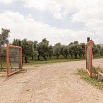 בגן העדר דף הבית | נעמה שטרן