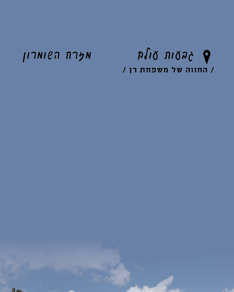 על ראש הגבעה | נעמה שטרן