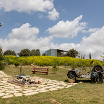 על ראש הגבעה דף הבית | נעמה שטרן