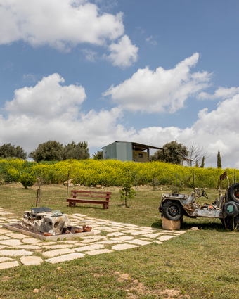 על ראש הגבעה דף הבית | נעמה שטרן