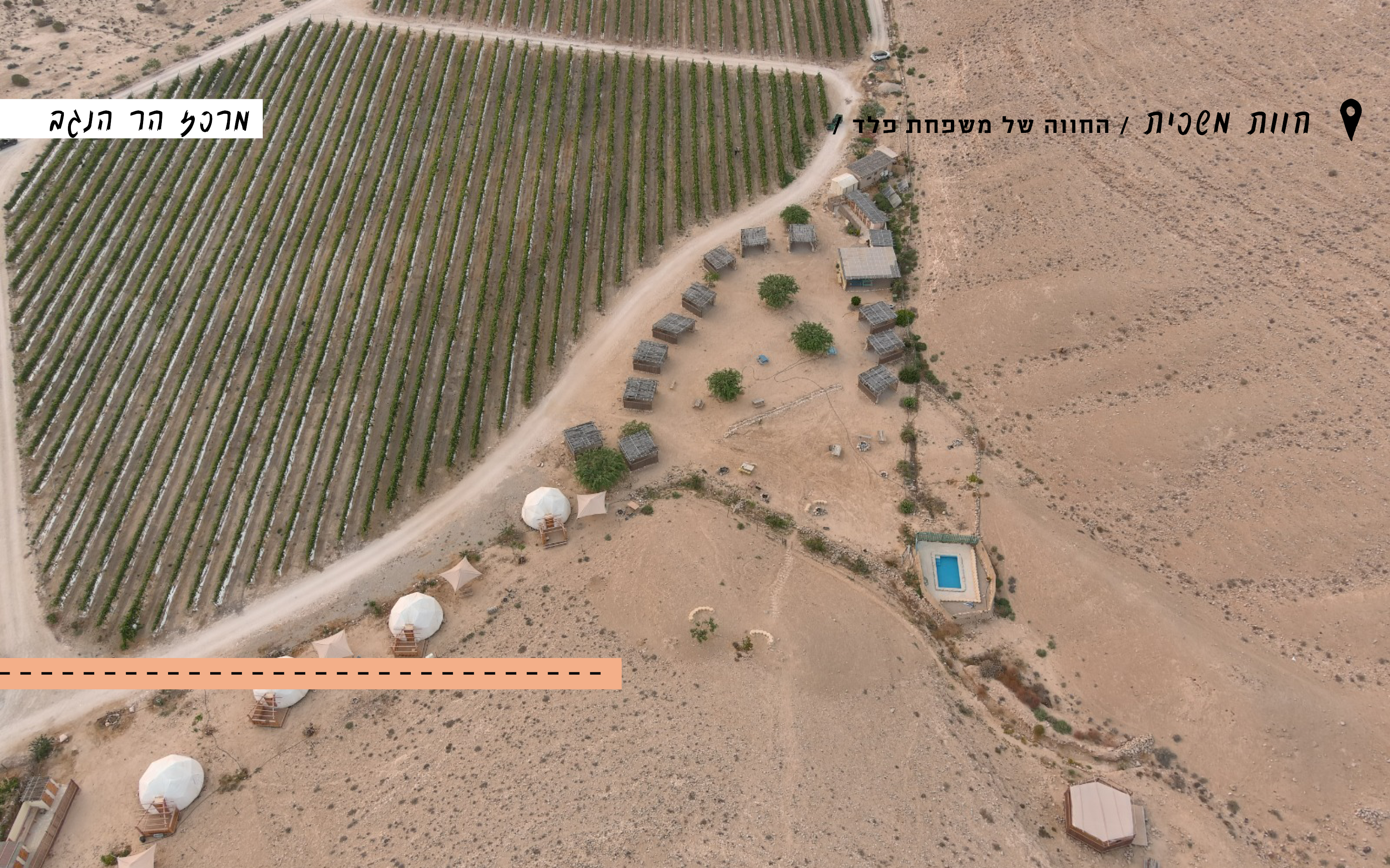 ים של חול | שיראל דילר