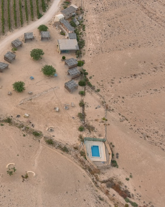 ים של חול | שיראל דילר