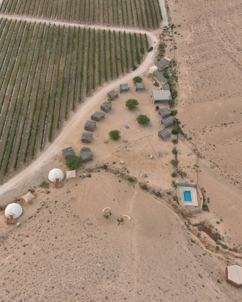 ים של חול דף הבית | שיראל דילר