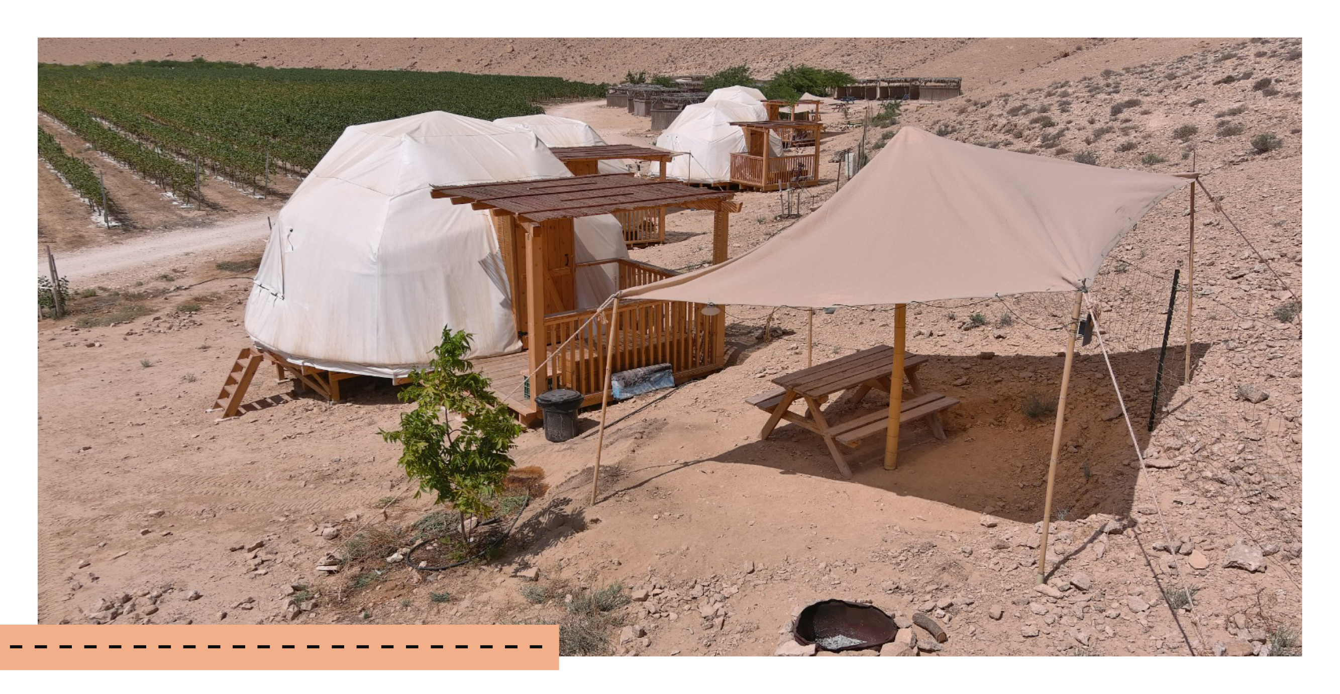 חוות משכית | שיראל דילר