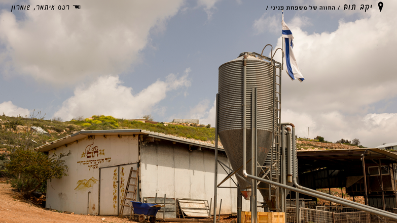 בוצר אור | נעמה שטרן