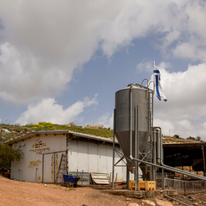 בוצר אור דף הבית | נעמה שטרן