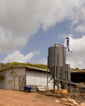 בוצר אור דף הבית | נעמה שטרן
