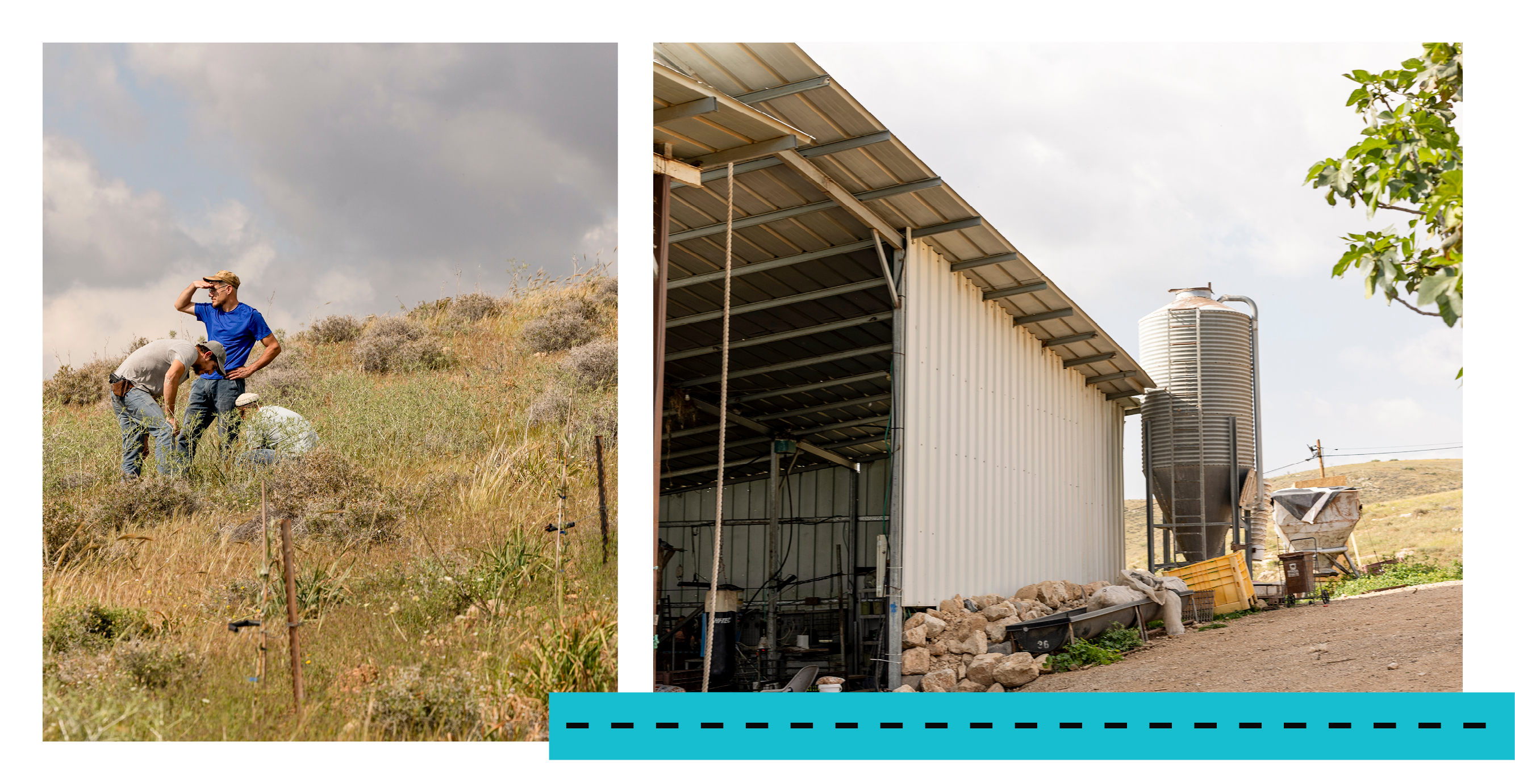 נווה הרועים | נעמה שטרן