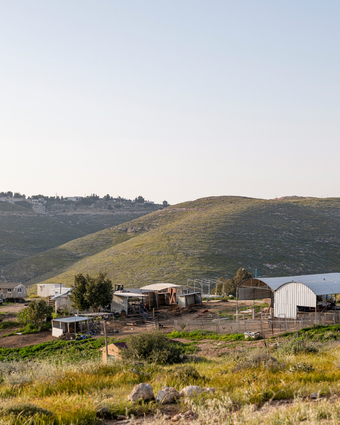 רועים רחוק דף הבית | נעמה שטרן