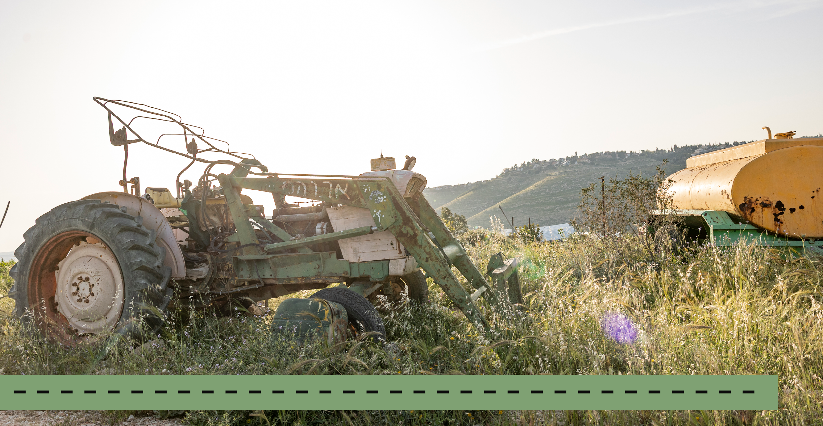 חוות אברהם | נעמה שטרן