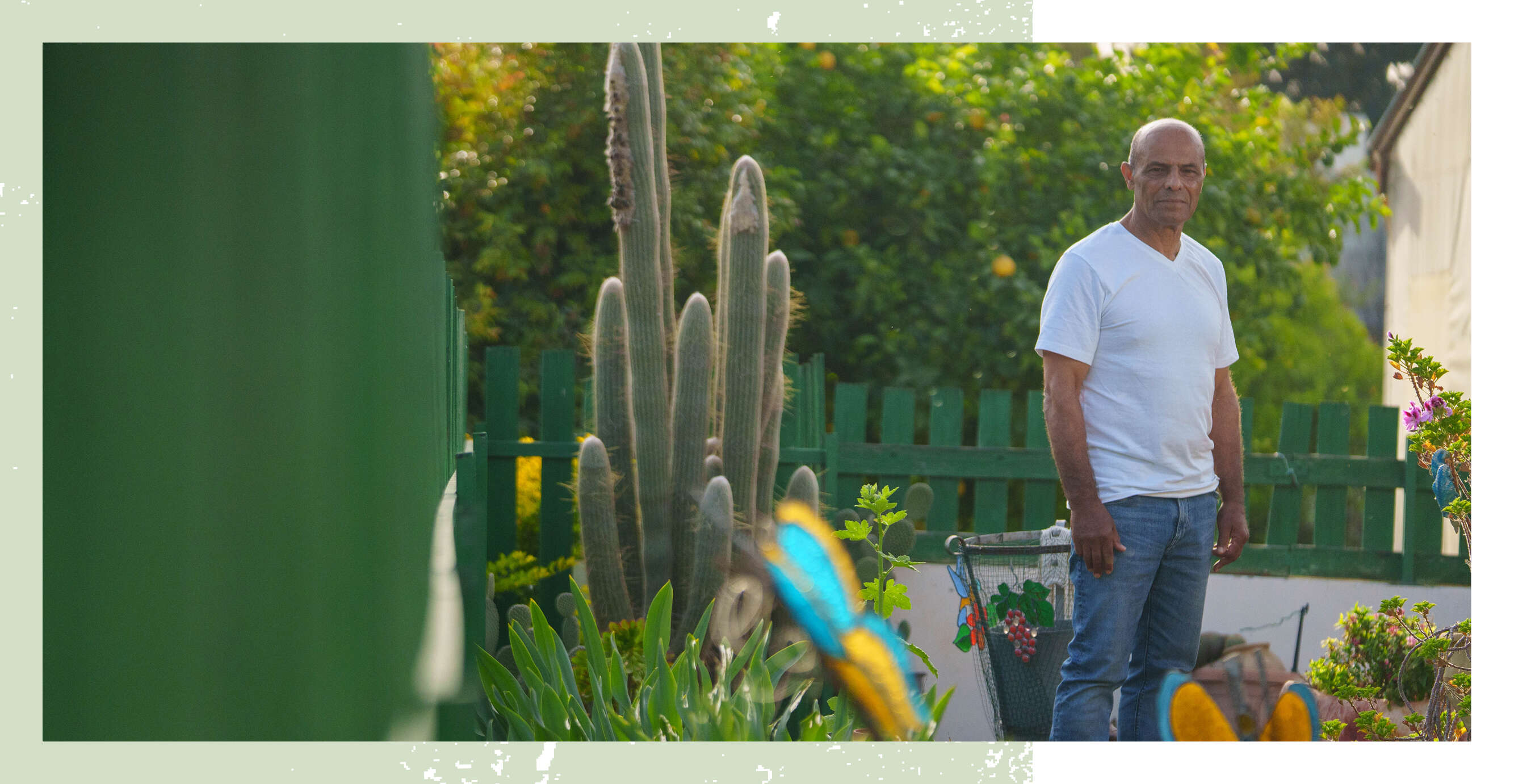 אנצ'ו גוש, ג'יני