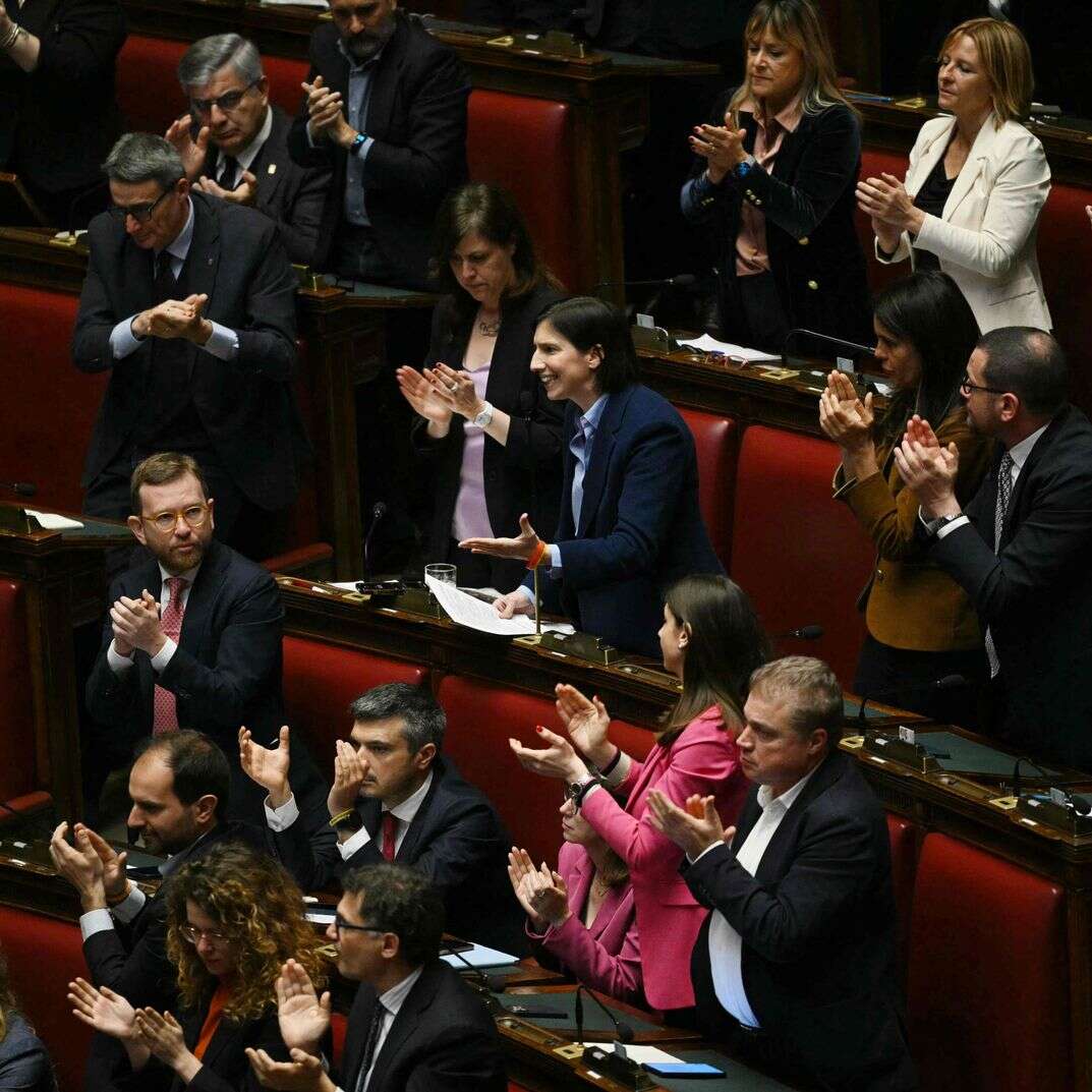 חברי המפלגה הדמוקרטית באיטליה | Andreas SOLARO / AFP