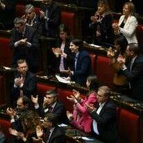 חברי המפלגה הדמוקרטית באיטליה | Andreas SOLARO / AFP