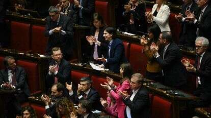 חברי המפלגה הדמוקרטית באיטליה | Andreas SOLARO / AFP
