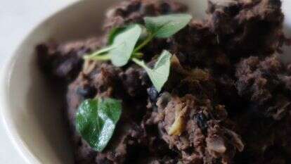 שעועית שחורה - ריפרייד בינס | אוריה גבע