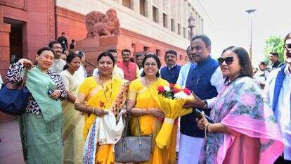 חברות פרלמנט מחוץ לבית הנבחרים לפני הדיון בחוק | AP