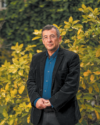 שעת חברה דף הבית | נעמה שטרן