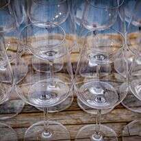 כוסות יין | נתי שוחט, פלאש 90