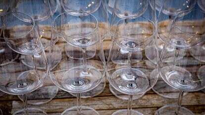 כוסות יין | נתי שוחט, פלאש 90