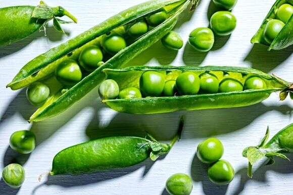 אפונה | סקוט סוצ'מן, עיצוב אוכל מאת ליסה צ'רקסקי עבור הוושינגטון פוסט