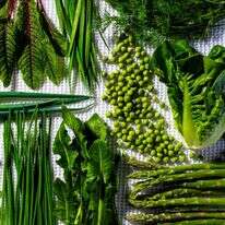 ירקות האביב הירוקים | סקוט סוצ'מן, עיצוב אוכל מאת ליסה צ'רקסקי עבור הוושינגטון פוסט