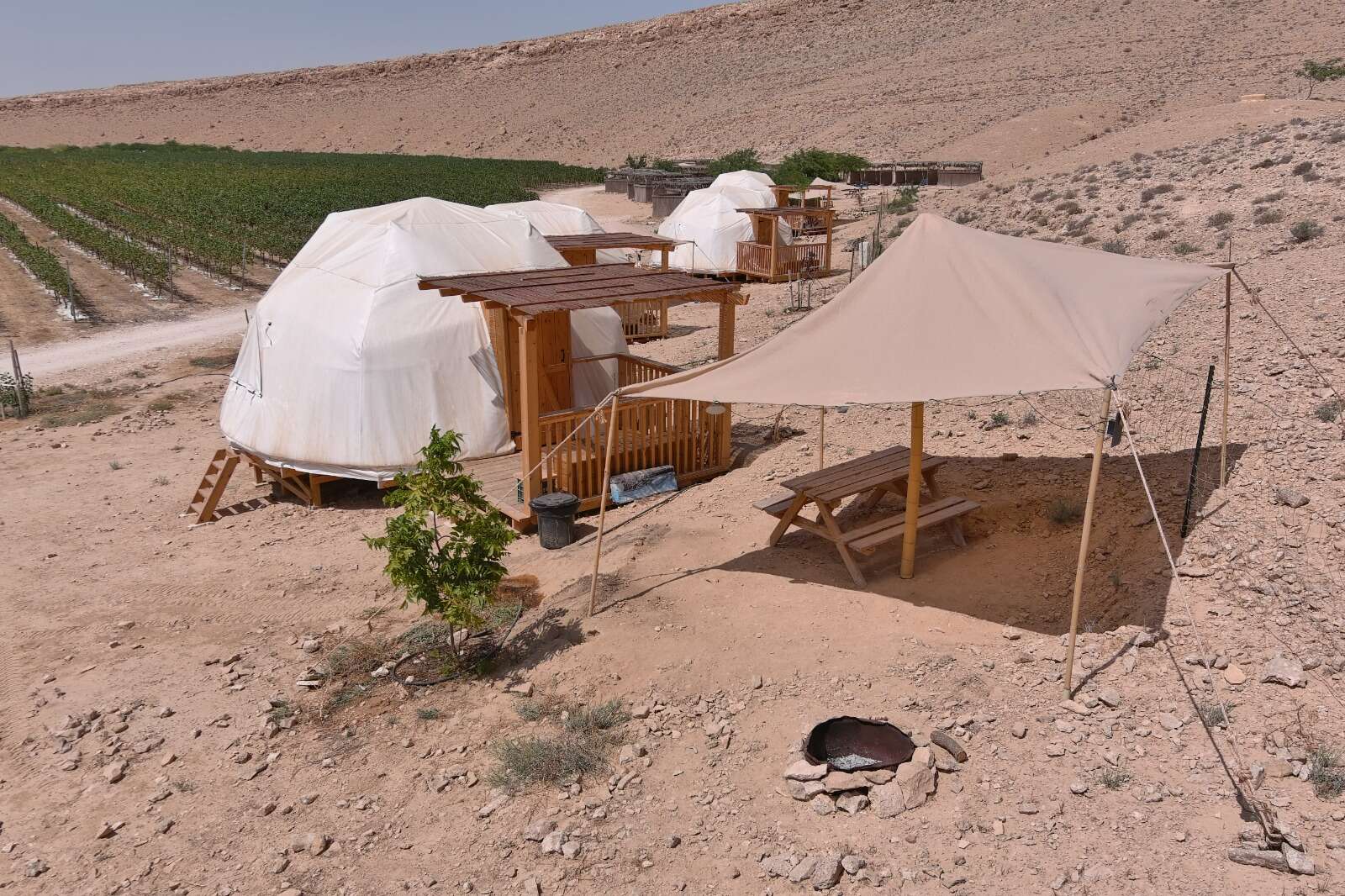 חוות משכית | ללא