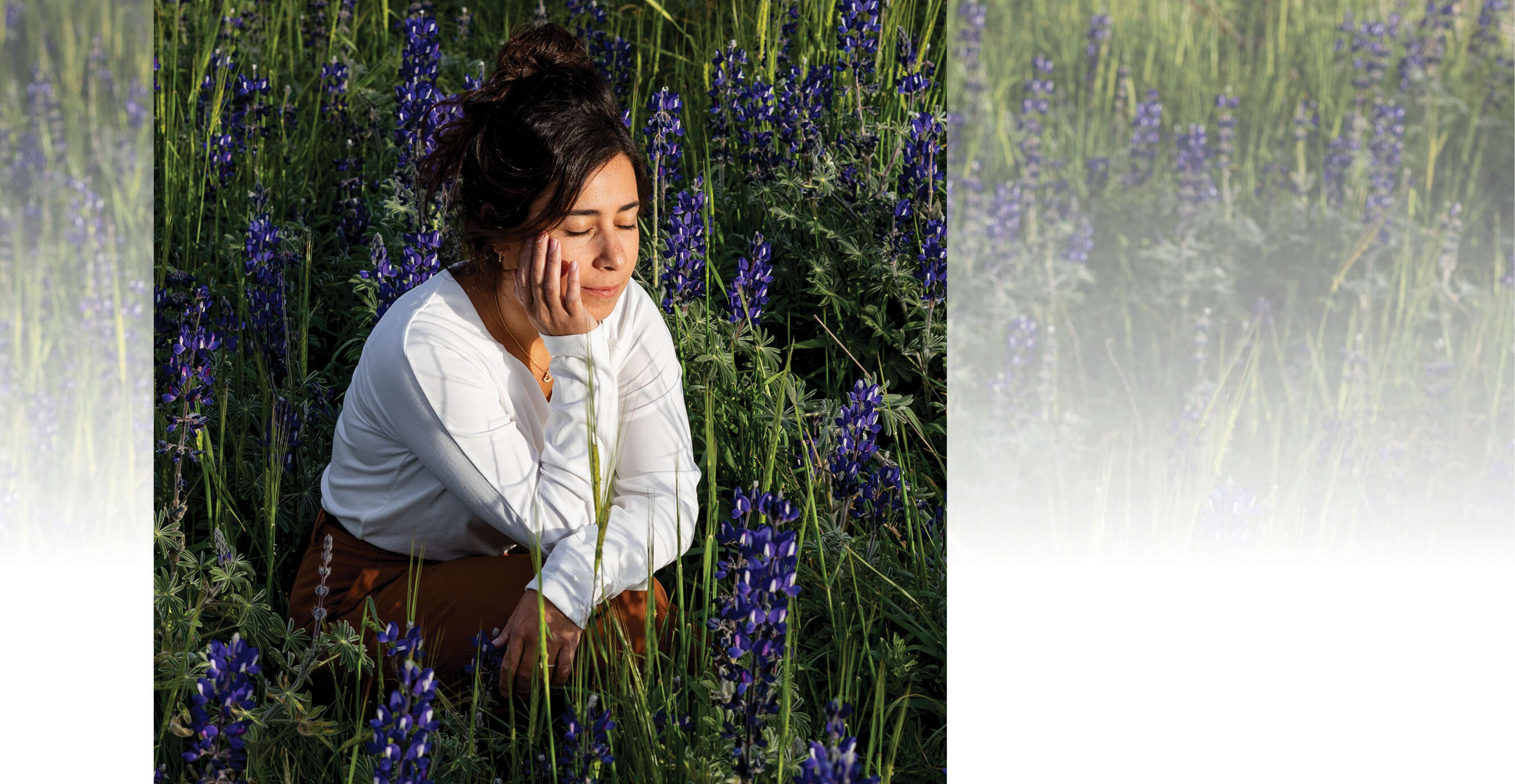 גדי גאלדור | נעמה שטרן