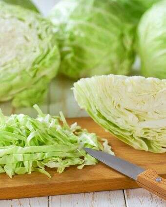 כרוב לבן | שאטרסטוק