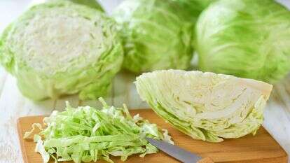 כרוב לבן | שאטרסטוק