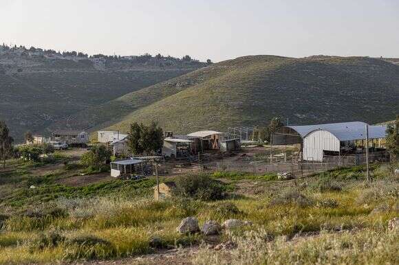 חוות אברהם | נעמה שטרן