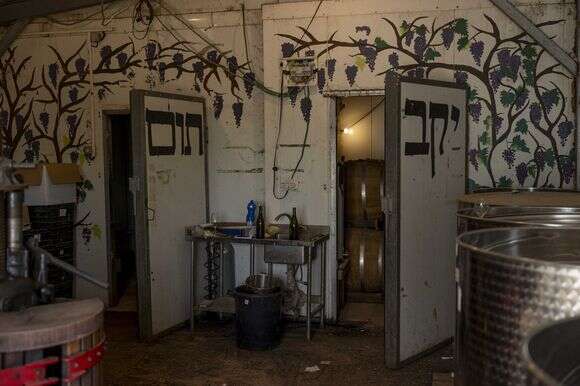 יקב תום | נעמה שטרן