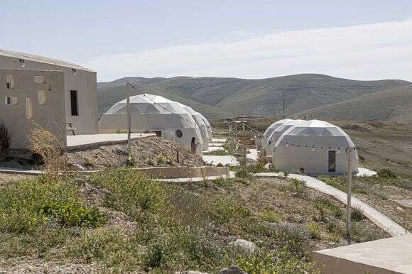 חוות צאן קידר | נעמה שטרן