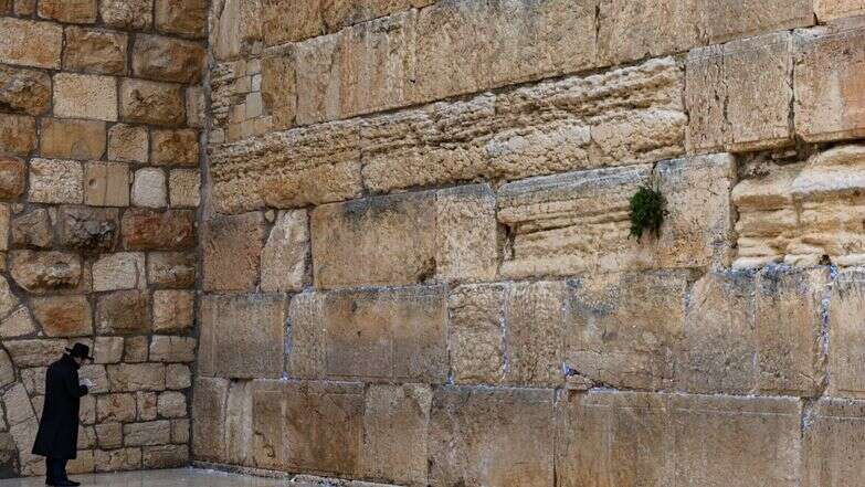 הכותל המערבי, שריד בית מקדשנו | חיים גולדברג, פלאש 90 הכותל המערבי, שריד בית מקדשנו | חיים גולדברג, פלאש 90