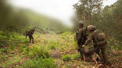 פעילות כוחות צה"ל בדרום לבנון בימים האחרונים | דובר צה"ל