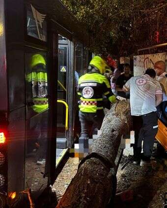 זירת תאונת הדרכים בתל אביב | תיעוד מבצעי מד"א זירת תאונת הדרכים בתל אביב | תיעוד מבצעי מד"א
