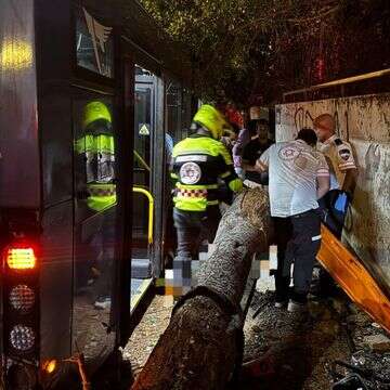 זירת תאונת הדרכים בתל אביב | תיעוד מבצעי מד"א זירת תאונת הדרכים בתל אביב | תיעוד מבצעי מד"א