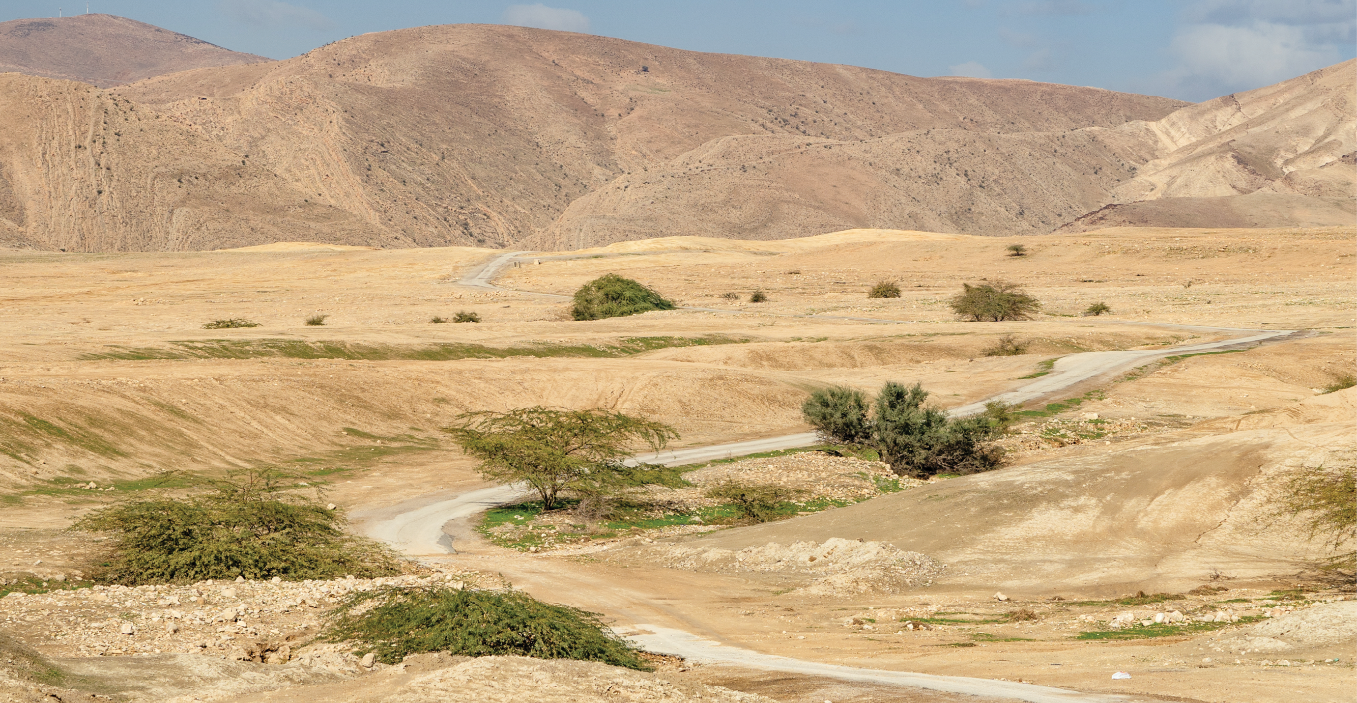 "בבקעה, שבה גדלתי, אנשים בקושי יוצאים מהבית בימי הקיץ" | יניב נדב, פלאש 90 "בבקעה, שבה גדלתי, אנשים בקושי יוצאים מהבית בימי הקיץ" | יניב נדב, פלאש 90