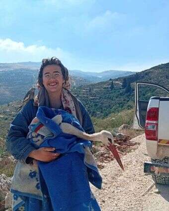החסידה הפצועה | חופשי החסידה הפצועה | חופשי