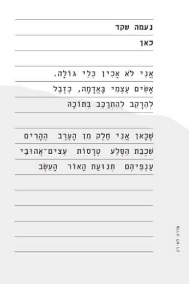 ללא ללא