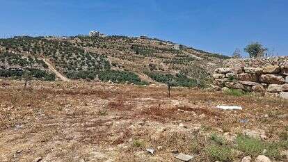 השתלטות חקלאית פלסטינית בשטח C | אביגיל זית