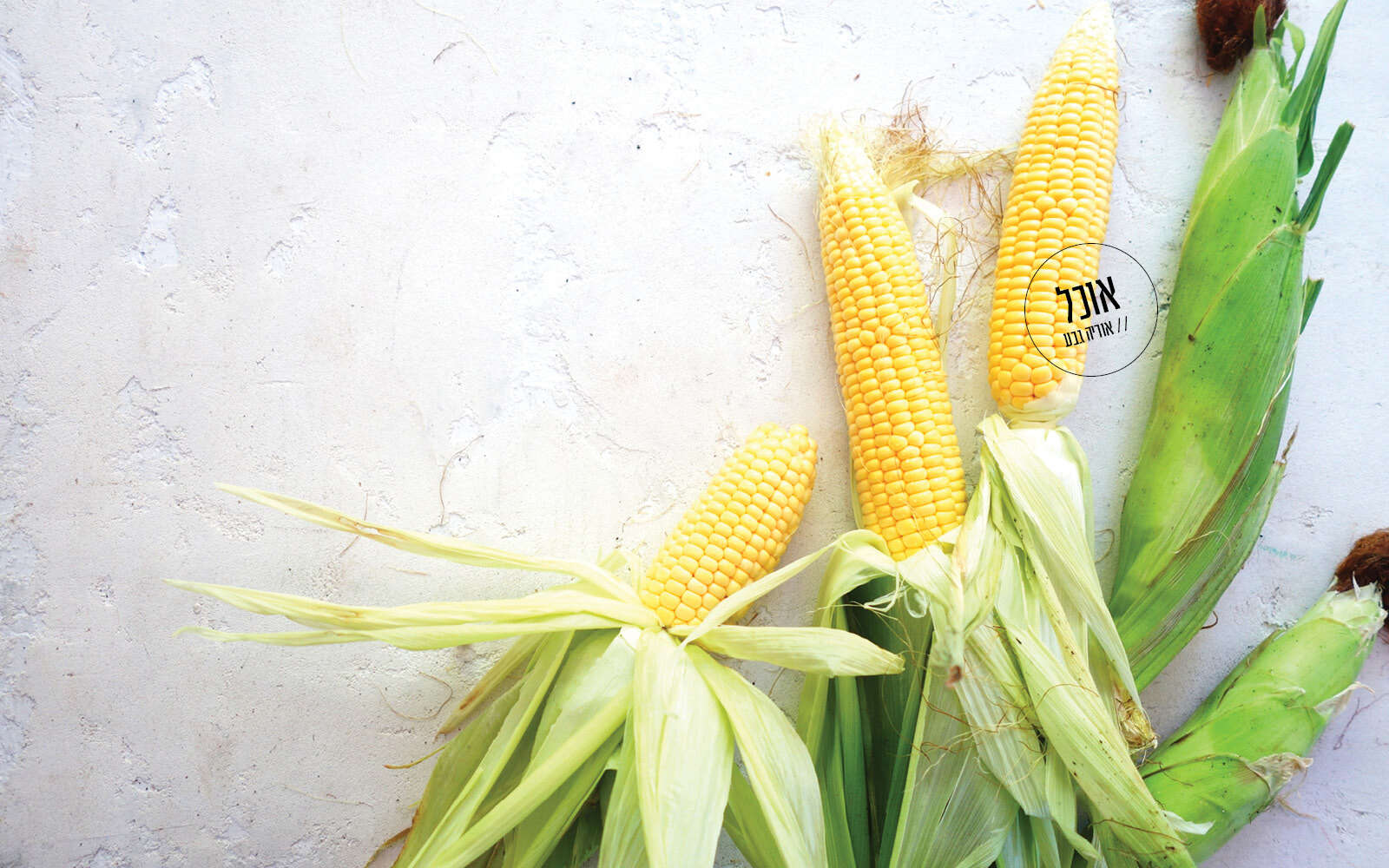 בים בם בם תירס חם | אוריה גבע בים בם בם תירס חם | אוריה גבע