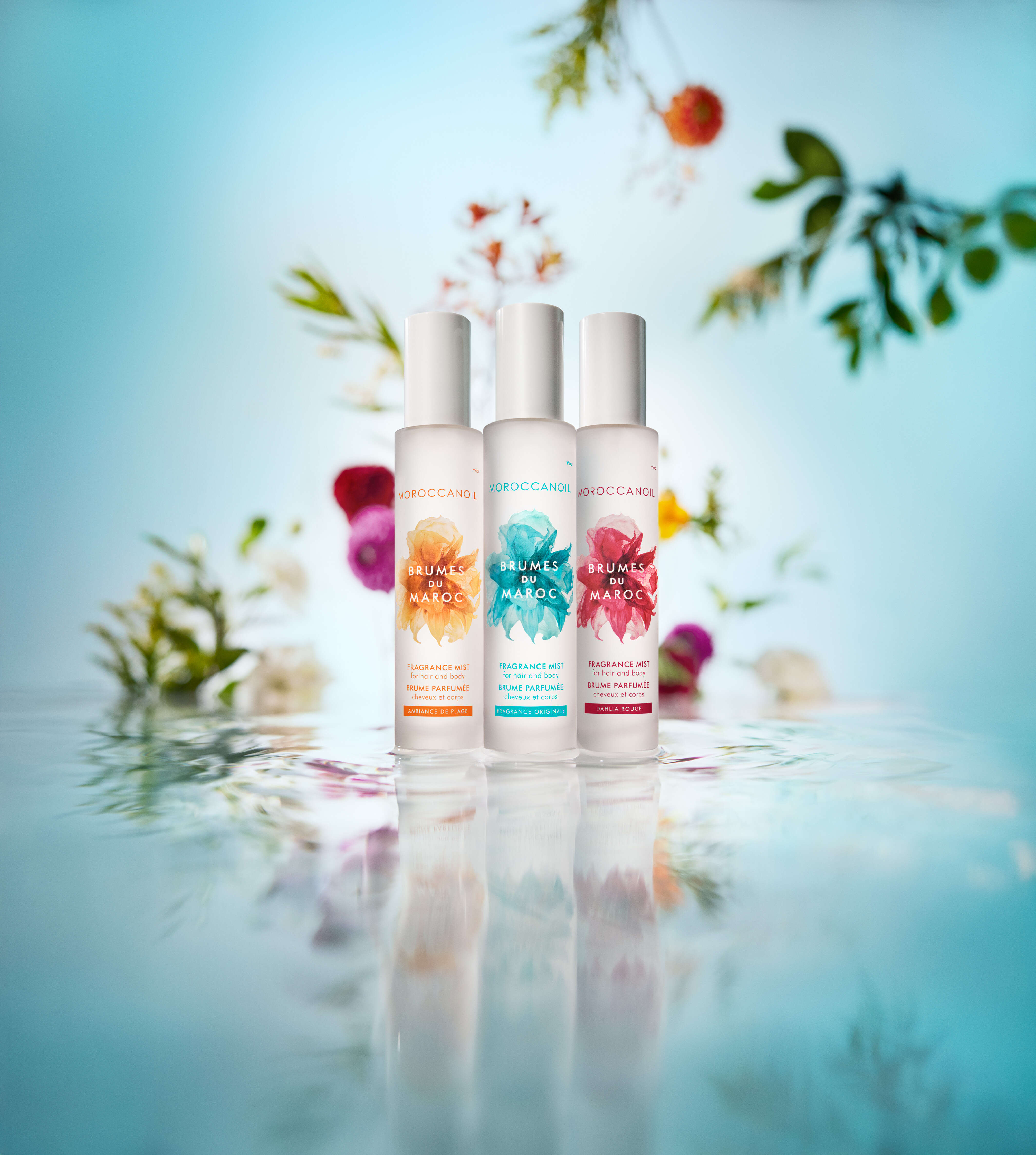 Moroccanoil | יח"צ