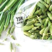 חלומות על במיה | אוריה גבע חלומות על במיה | אוריה גבע