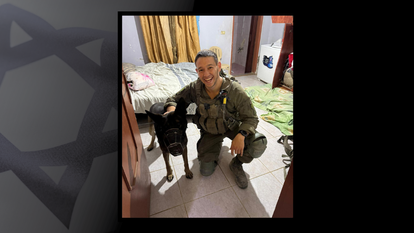 סרן דוד חזות הי"ד | דובר צה"ל