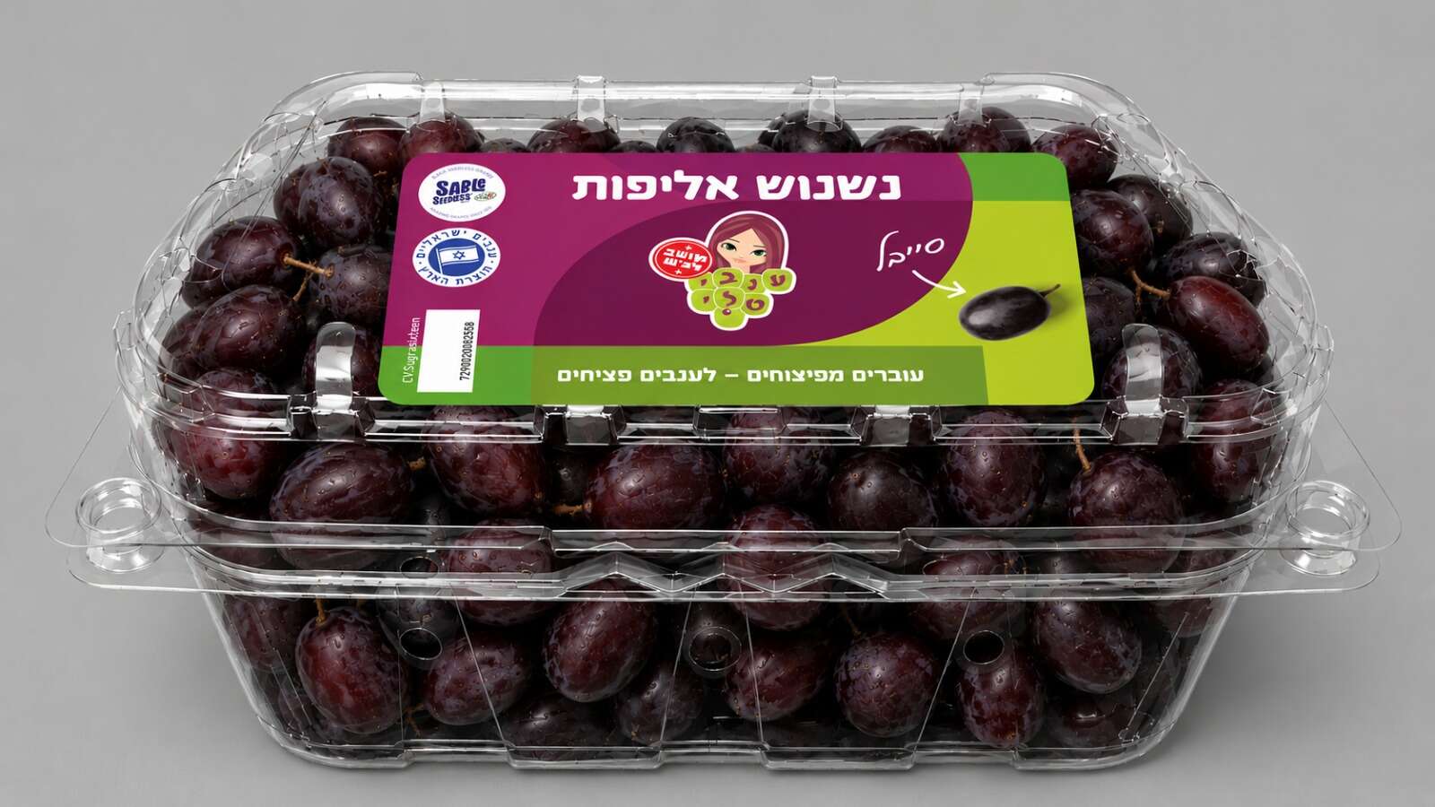 ענבי טלי | יח"צ