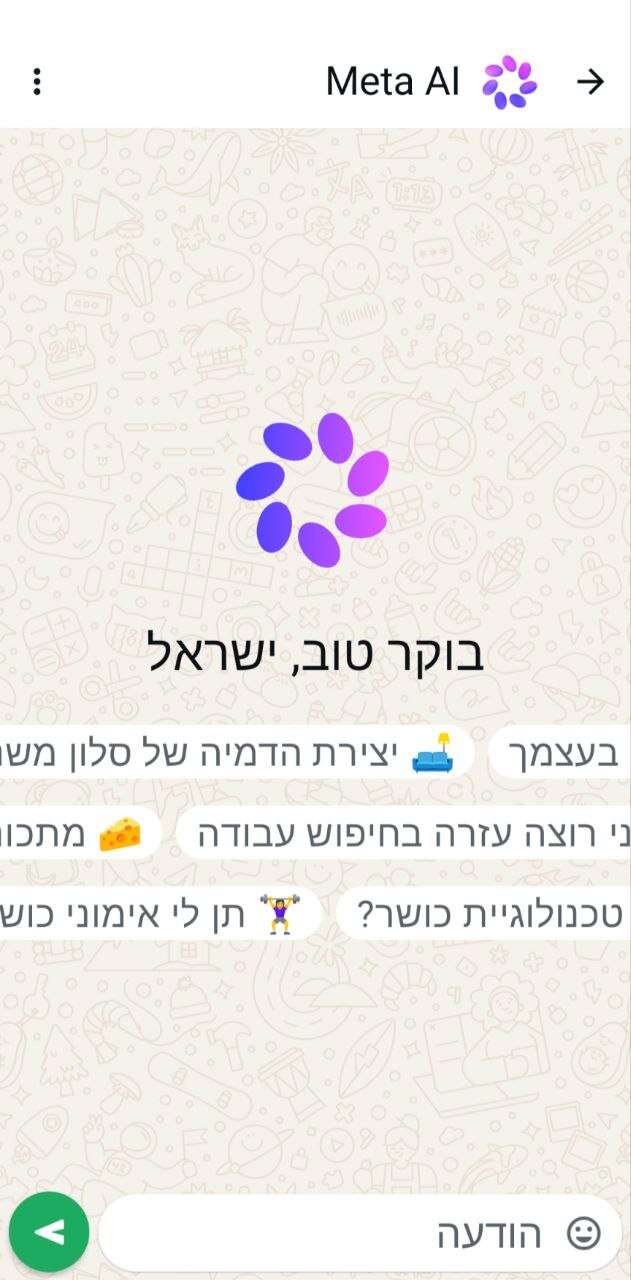 דף השיחה עם META AI | צילום מסך מתוך האפליקציה דף השיחה עם META AI | צילום מסך מתוך האפליקציה
