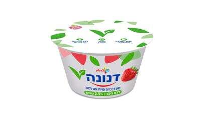 דנונה סויה תות | סטודיו שטראוס