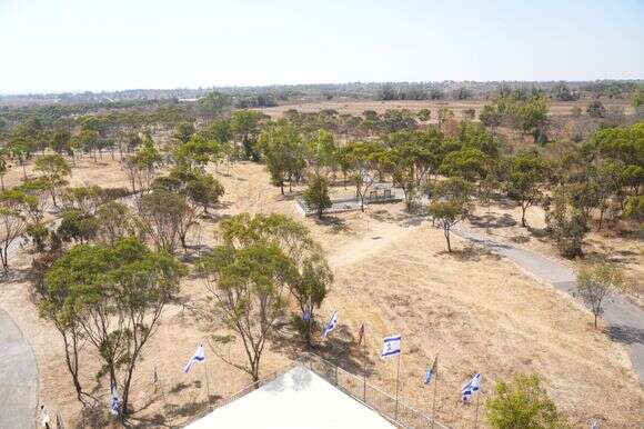 חורשת גוש קטיף ביער כיסופים | יוסי איפרגן, מערך ההסברה של קק״ל חורשת גוש קטיף ביער כיסופים | יוסי איפרגן, מערך ההסברה של קק״ל