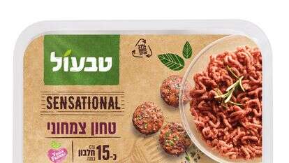 טחון מהצומח | סטודיו אסם טחון מהצומח | סטודיו אסם